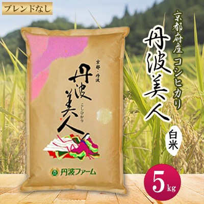 【2024年7月中旬発送】【令和5年産】京都府産コシヒカリ　丹波美人(白米)5kg