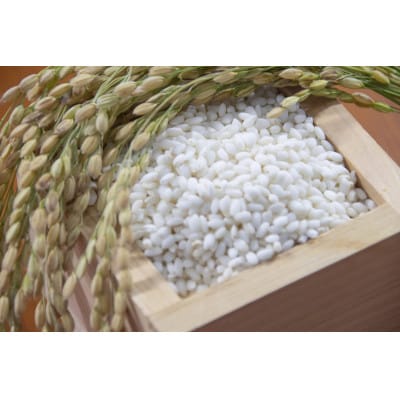 【毎月定期便】京都府産コシヒカリ 聖米(白米)5kg 全6回