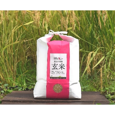 【農家直送:コシヒカリ】田舎家そらしど米(玄米)