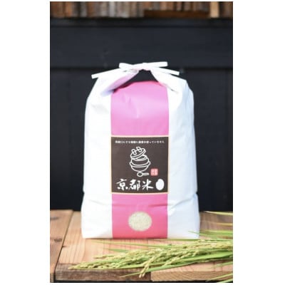 手間暇かけて育てた美味しいお米  令和7年産コシヒカリ5kg【精米】
