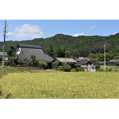 【毎月定期便】～栽培期間中 稲穂に農薬不使用～京都のお米　コシヒカリ5kg【精米】全6回