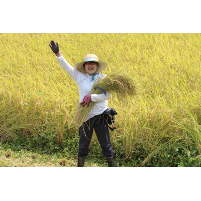 【毎月定期便】～栽培期間中 稲穂に農薬不使用～京都のお米　コシヒカリ5kg【精米】全6回