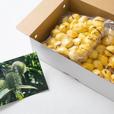 【京栗】冷凍むき栗　1kg(500g×2P)　氷蔵丹波栗