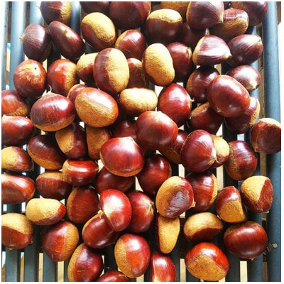【京栗】むき栗　500g(500g×1P)　氷蔵丹波栗