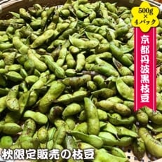 京都丹波黒枝豆 500g&times;4パック