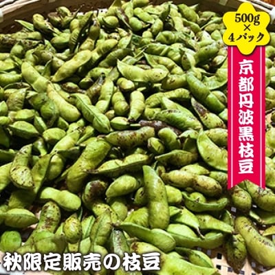 京都丹波黒枝豆　500g×4パック