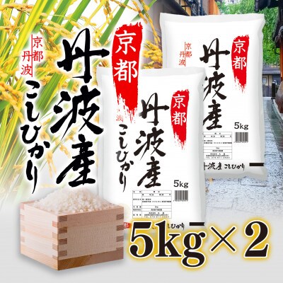 【ふるさと納税　綾部市】京都丹波産こしひかり　5kg×2　計10kg　※精米したてをお届け!