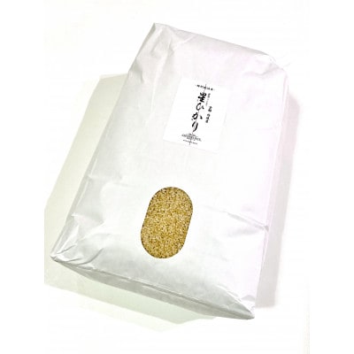 令和5年産【丹波産】コシヒカリ 玄米 -特別栽培米- “星ひかり”10kg