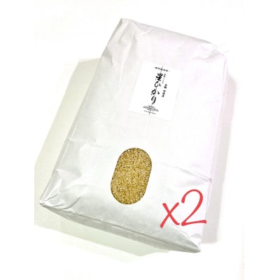 令和2年度産減農薬栽培 レンゲ米 玄米10キロ