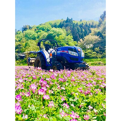 【毎月定期便】丹波産 コシヒカリ 精米 特別栽培米5kg全3回