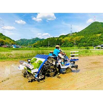 【毎月定期便】丹波産 コシヒカリ 精米 特別栽培米5kg全3回