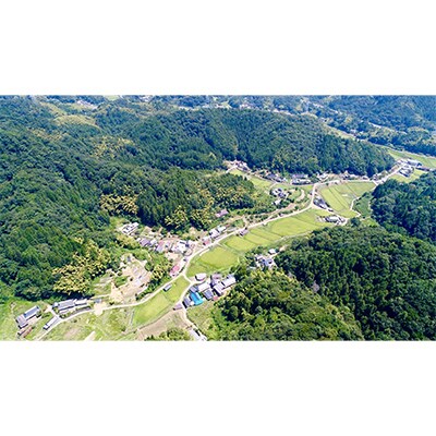 【毎月定期便】丹波産 コシヒカリ 精米 特別栽培米5kg全3回