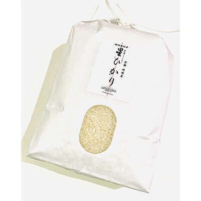 【毎月定期便】丹波産 コシヒカリ 精米 特別栽培米5kg全12回