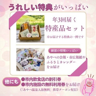京都・綾部のふるさと応援団「あやべ特別市民」会員券