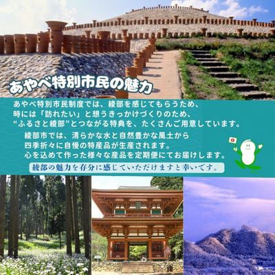 京都・綾部のふるさと応援団「あやべ特別市民」会員券