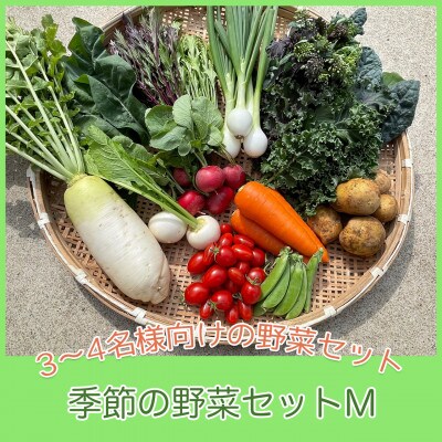 【栽培期間中農薬・化学肥料不使用です】ともときファーム丹波の季節の野菜セットM