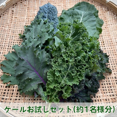 【栽培期間中農薬・化学肥料・動物性肥料不使用です】ともときファーム丹波のミックスケールS
