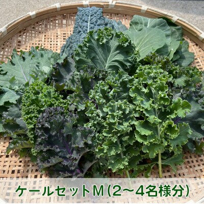 【栽培期間中農薬・化学肥料・動物性肥料不使用です】ともときファーム丹波のミックスケールM
