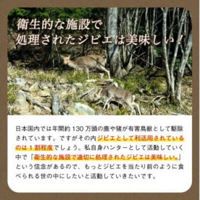 熟成 鹿肉シチュー 3個セット(200g×3個) ジビエ レトルト
