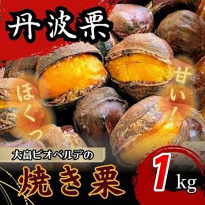 京都府綾部産 丹波焼き栗 1kg(200g×5パック) 自然な甘みと香ばしさ 冷凍小分け真空パック