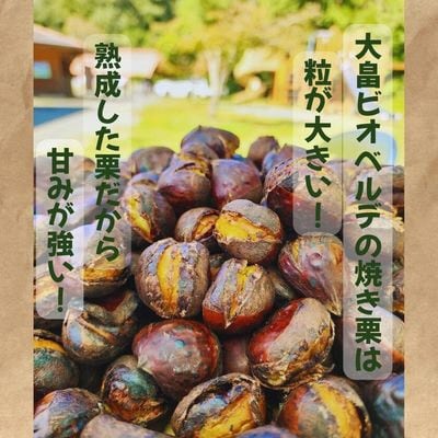京都府綾部産 丹波焼き栗 1kg(200g×5パック) 自然な甘みと香ばしさ 冷凍小分け真空パック