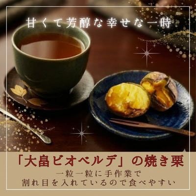 京都府綾部産 丹波栗焼き栗 計400g