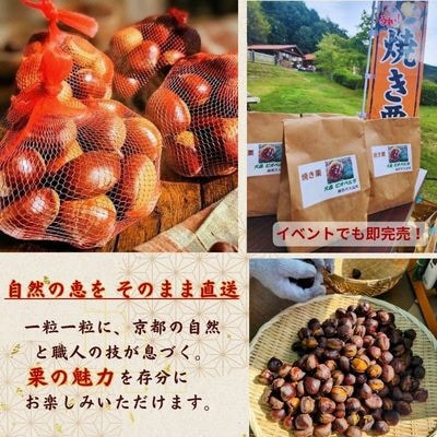 京都府綾部産 丹波栗焼き栗 計400g