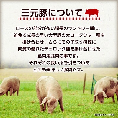 豚角煮缶詰　8缶