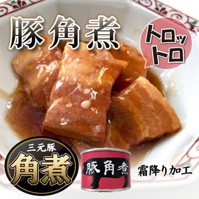 豚角煮缶詰　16缶