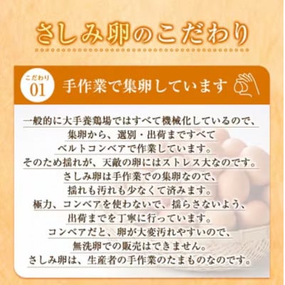 大阪府富田林産 さしみ卵 産直卵25個~30個(季節により個数・サイズが変動します)
