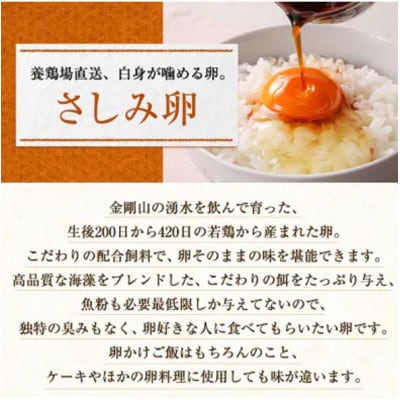 大阪府富田林産 さしみ卵 産直卵40個~50個(季節により個数・サイズが変動します)
