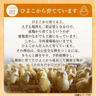【3ヵ月毎定期便】大阪府富田林産　さしみ卵25個～30個(季節により個数・サイズが変動します)全4回