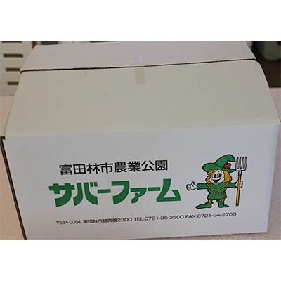 温州みかん約10kg