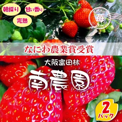【朝採りの香り豊かな新鮮完熟いちご】甘みと酸味のバランスのとれた 南さんちの大阪苺(2パック)