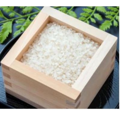 2023年度産 産地直送【米5kgと野菜詰合せ】旬のお野菜お楽しみセット