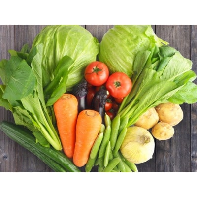 2023年度産 産地直送【米5kgと野菜詰合せ】旬のお野菜お楽しみセット