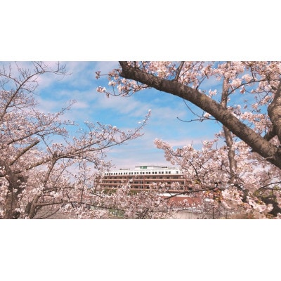 【PL病院】人間ドックBコース