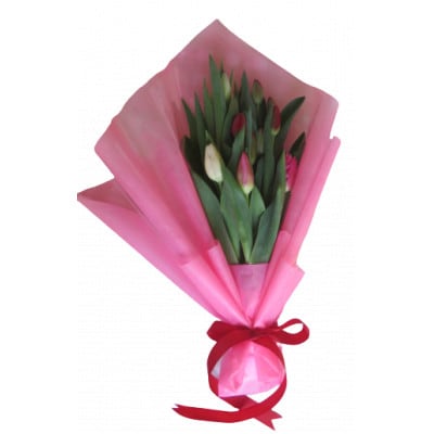 12月出荷　チューリップの花束　18本