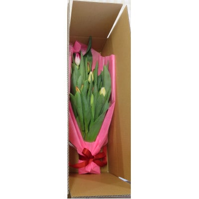 12月出荷　チューリップの花束　18本