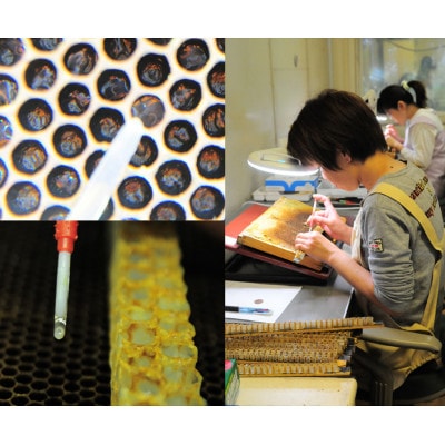 100g　国産はちみつ　生ローヤルゼリー　ローヤルゼリー専門養蜂場で採取　