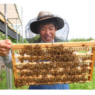 100g　国産はちみつ　生ローヤルゼリー　ローヤルゼリー専門養蜂場で採取　