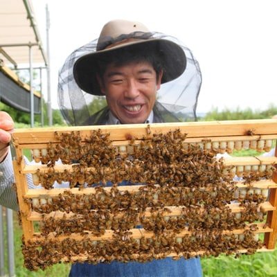 100g　国産はちみつ　生ローヤルゼリー　ローヤルゼリー専門養蜂場で採取　