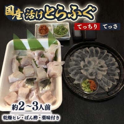 ふぐ鍋セット　国産活けとらふぐてっさ・てっちりセット約2～3人前　ヒレ付き【配送不可エリア注意】