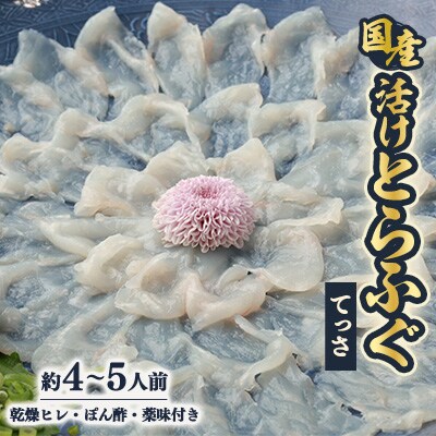 【冷蔵】国産活けとらふぐてっさ・ひれセット　約4～5人前　ヒレ酒も楽しめます!【配送不可エリア注意】