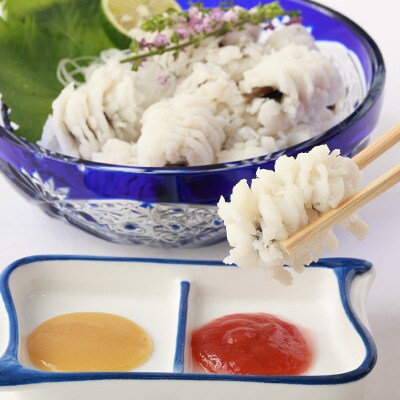 【冷蔵】国産活け鱧　湯引き約2～3人前盛り　梅肉・辛子酢味噌付き【配送不可エリア注意】