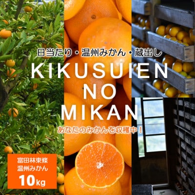 温州みかん10kg | 大阪府富田林市 | ふるさと納税サイト「さとふる」
