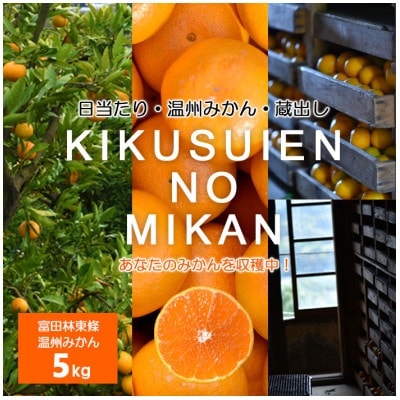 温州みかん5kg