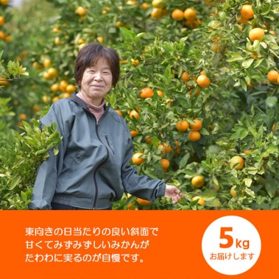 温州みかん5kg