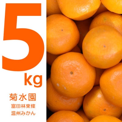 温州みかん5kg
