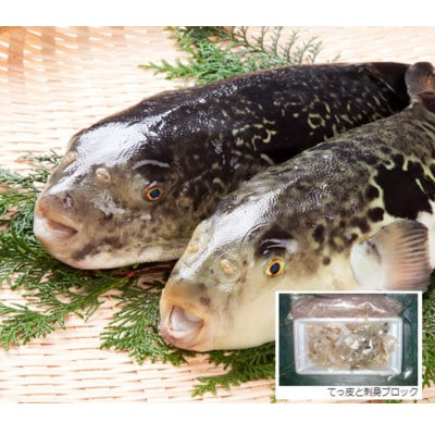 [河内とらふぐ]活き締めとらふぐ刺身用ブロック・皮の湯引き(冷蔵品・生食用)【配送不可エリア注意】